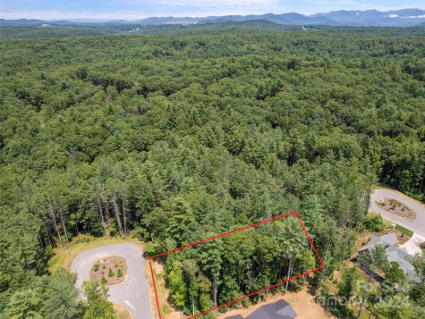 323 Flowering Vine Court Asheville NC 28803