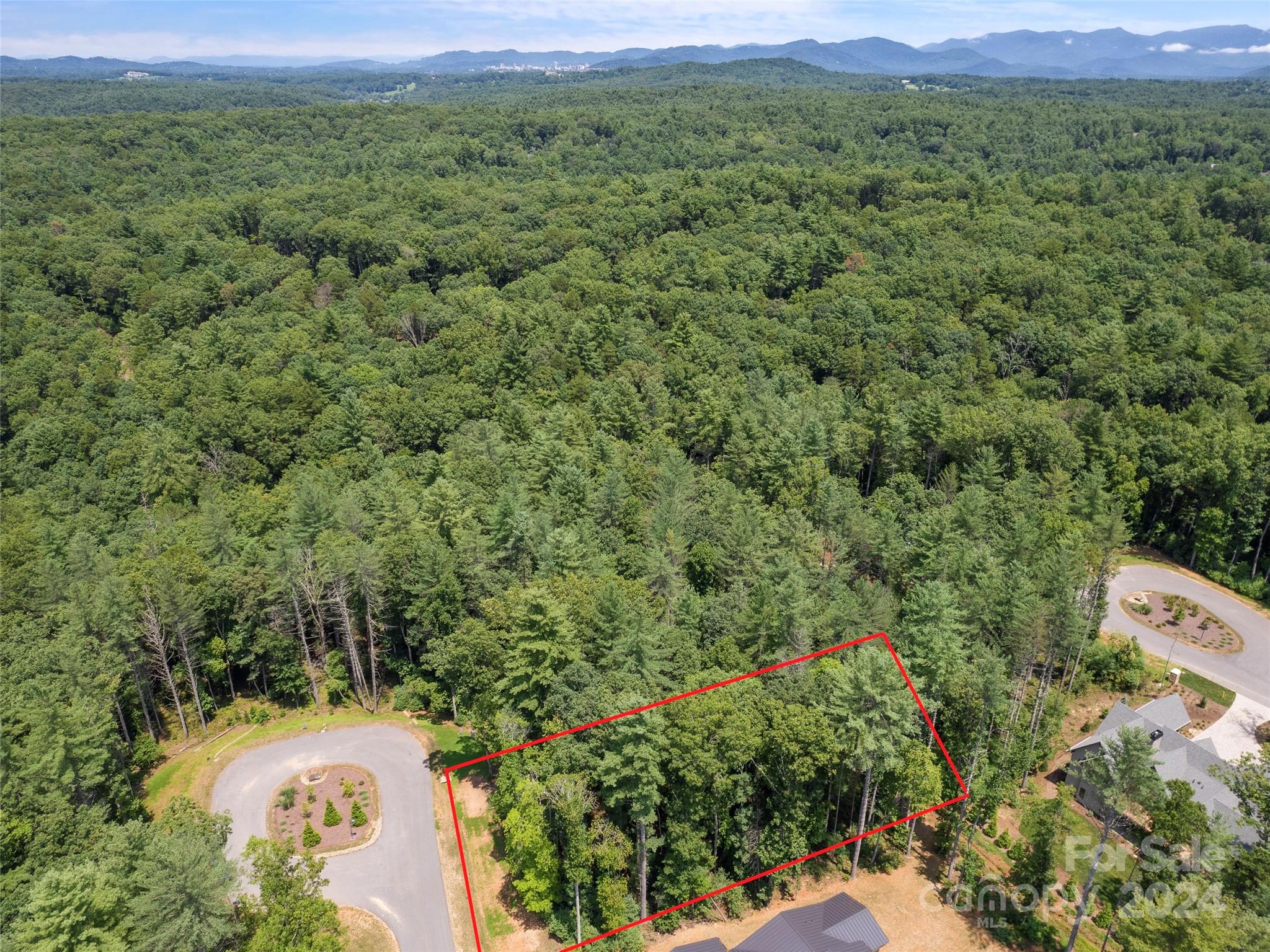 323 Flowering Vine Court Asheville NC 28803