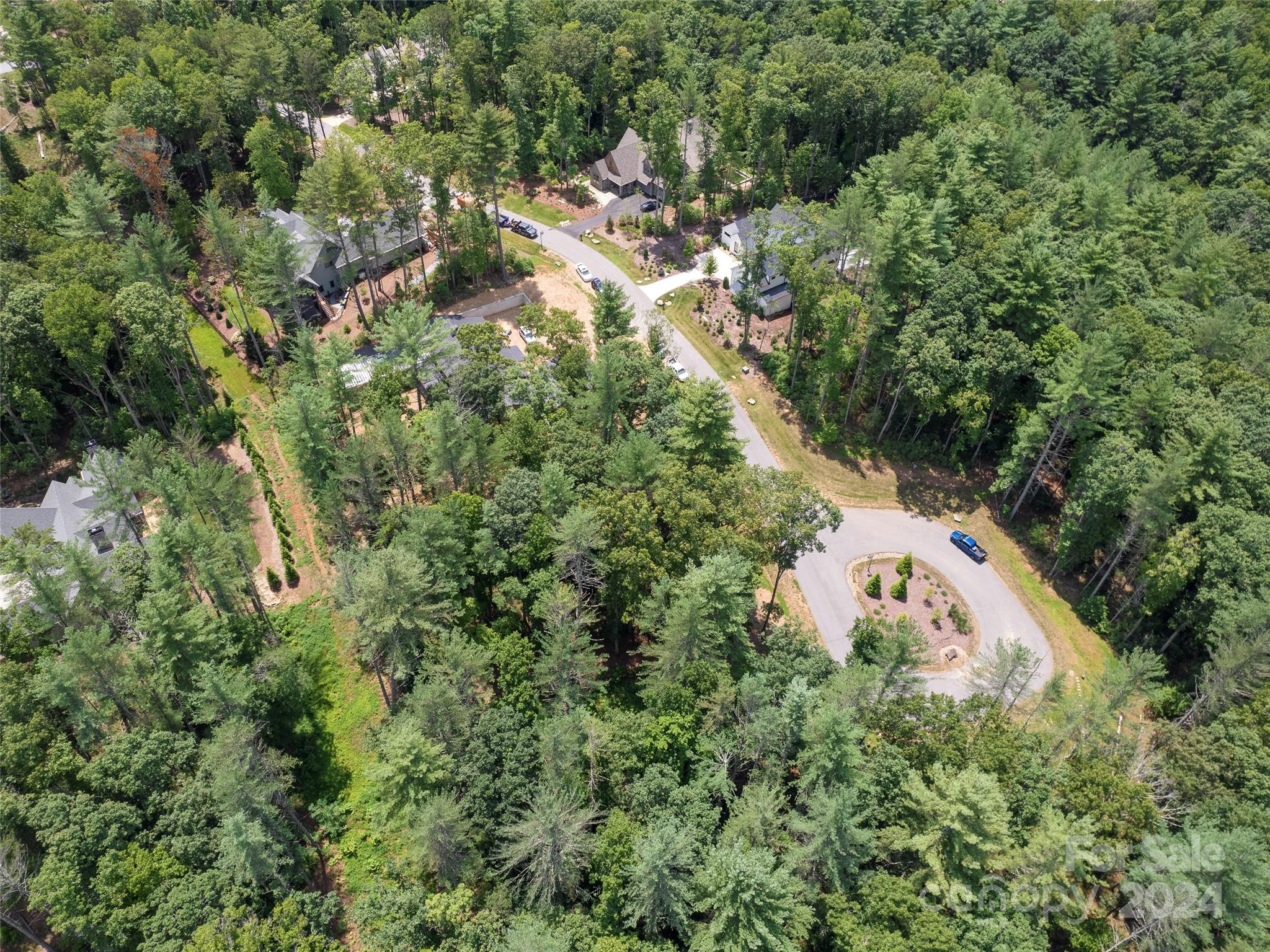 323 Flowering Vine Court Asheville NC 28803