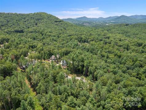 323 Flowering Vine Court Asheville NC 28803