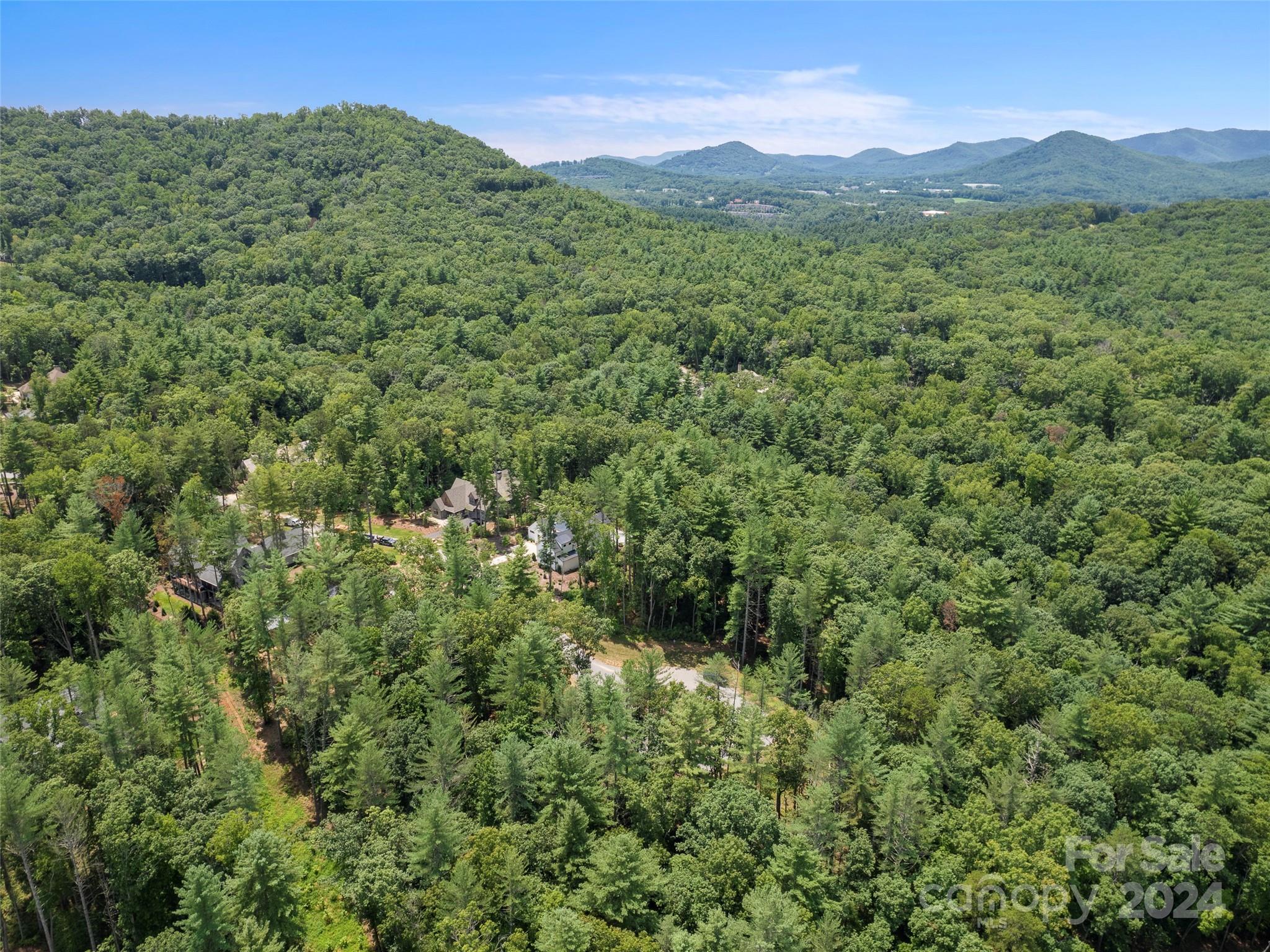 323 Flowering Vine Court Asheville NC 28803