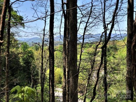 66 Hawtree Court Weaverville NC 28787