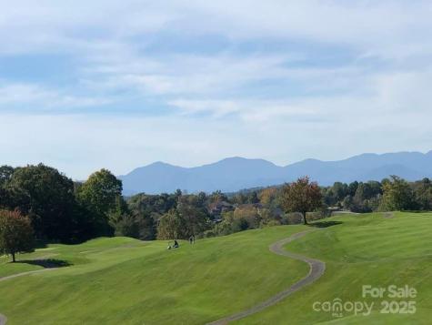 66 Hawtree Court Weaverville NC 28787