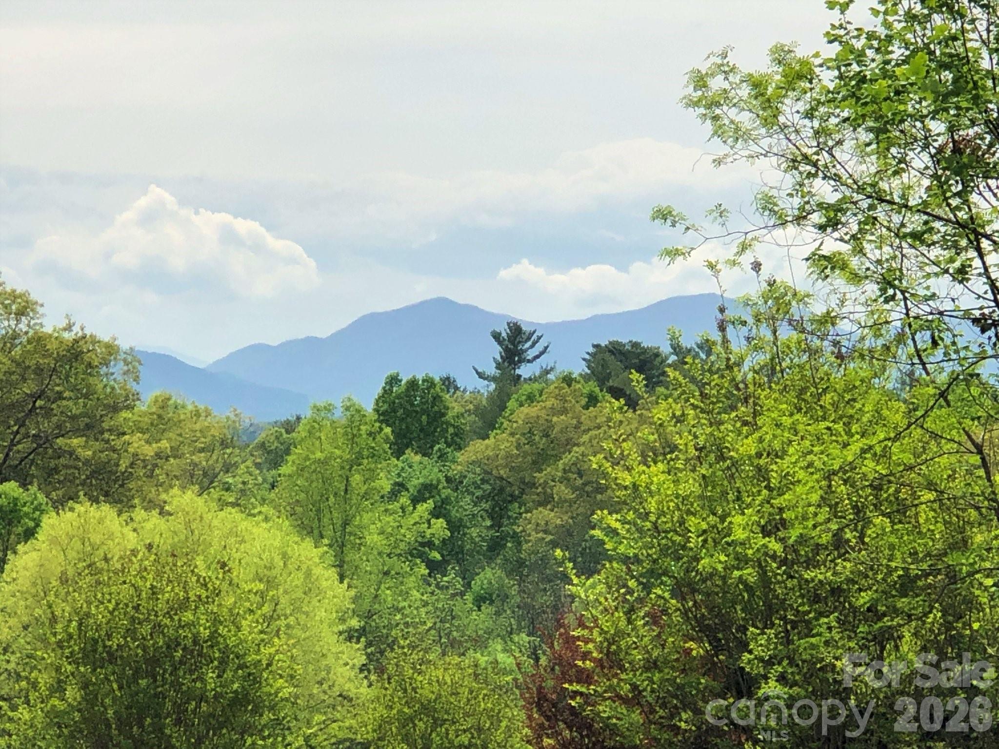 66 Hawtree Court Weaverville NC 28787