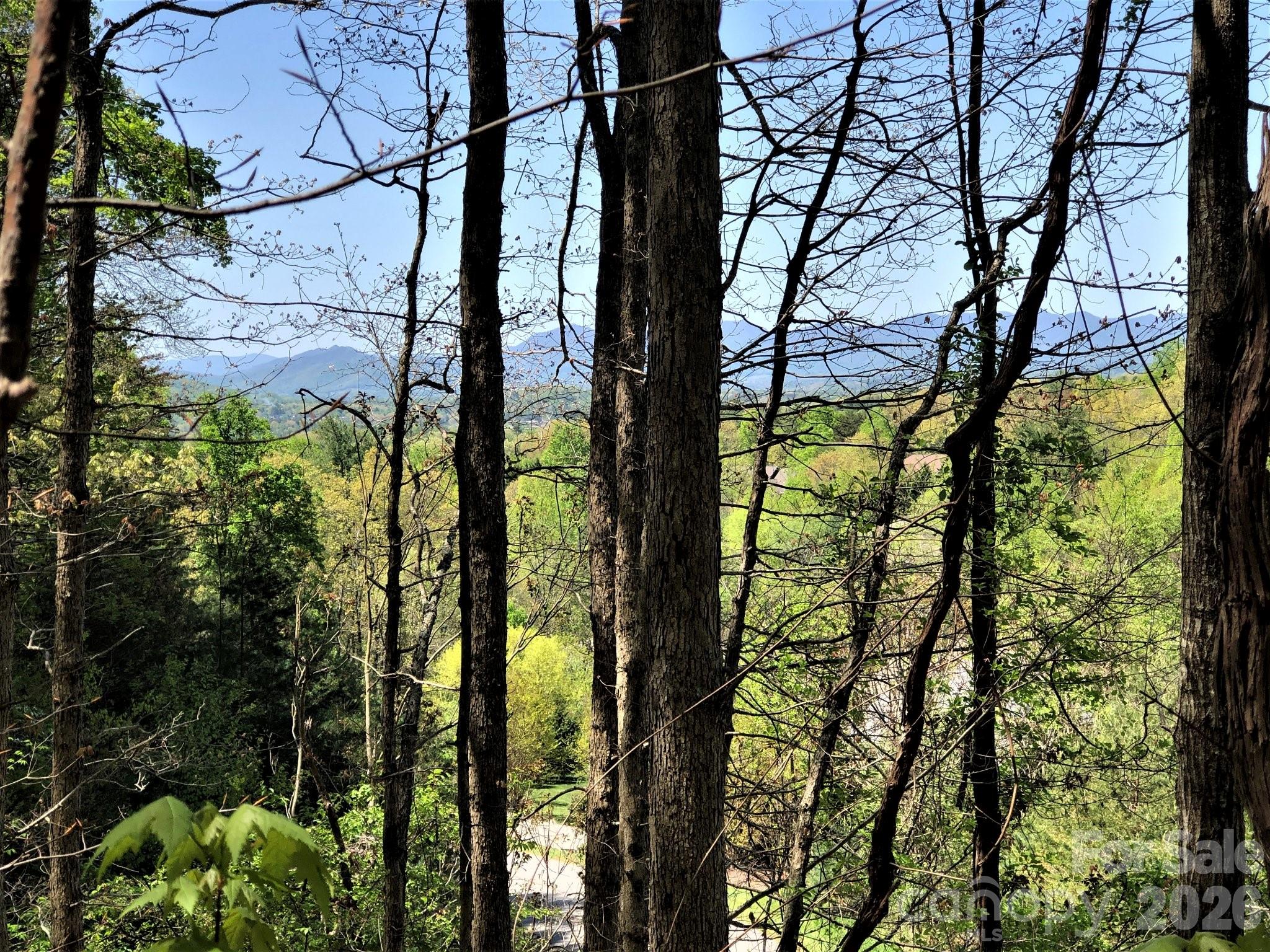 66 Hawtree Court Weaverville NC 28787