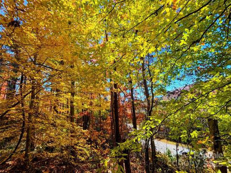 66 Hawtree Court Weaverville NC 28787