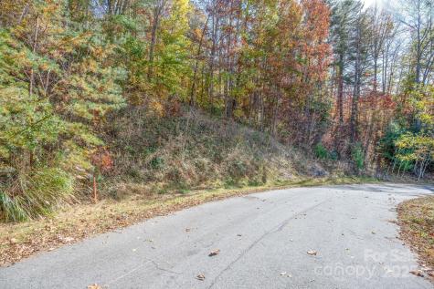 66 Hawtree Court Weaverville NC 28787