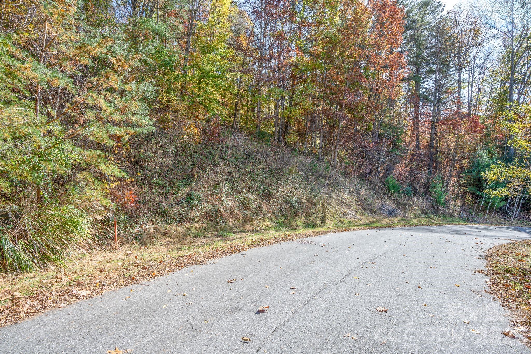 66 Hawtree Court Weaverville NC 28787