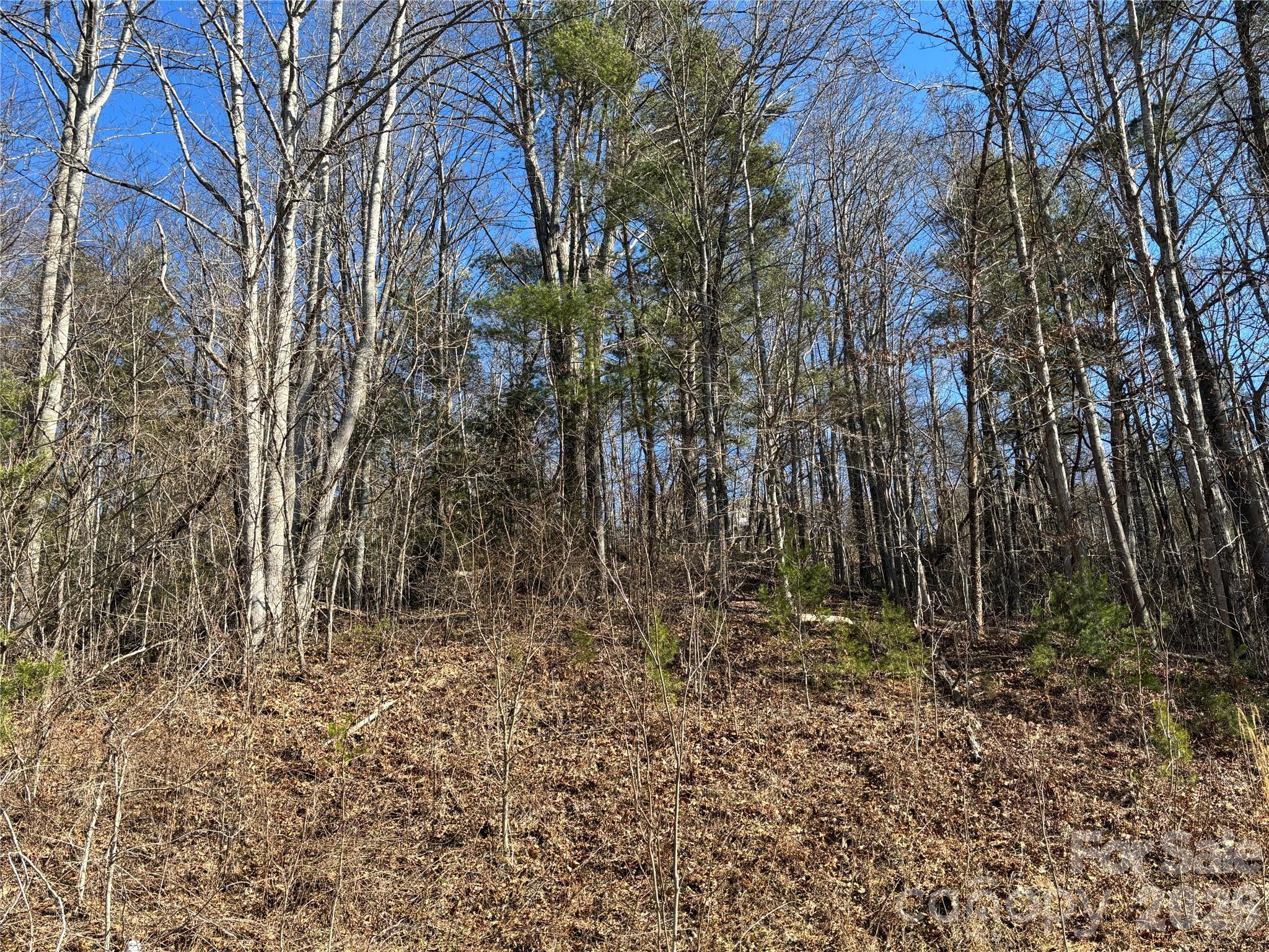 66 Hawtree Court Weaverville NC 28787