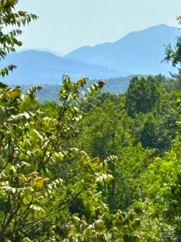 66 Hawtree Court Weaverville NC 28787