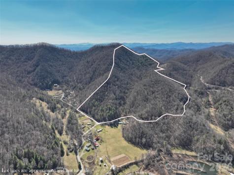 0000 Grapevine Road Marshall NC 28753
