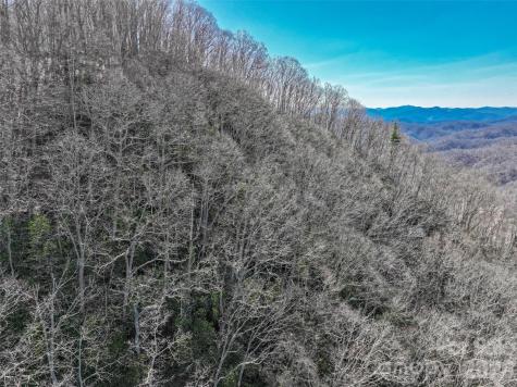 0000 Grapevine Road Marshall NC 28753
