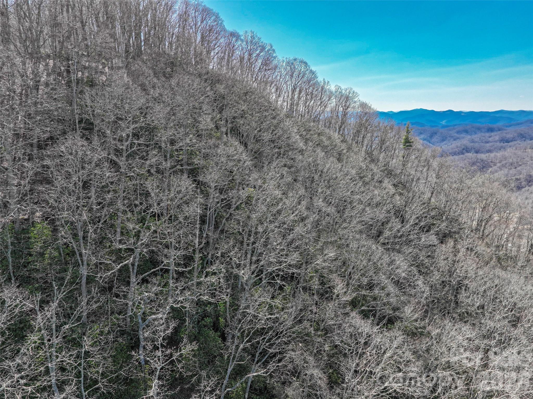 0000 Grapevine Road Marshall NC 28753