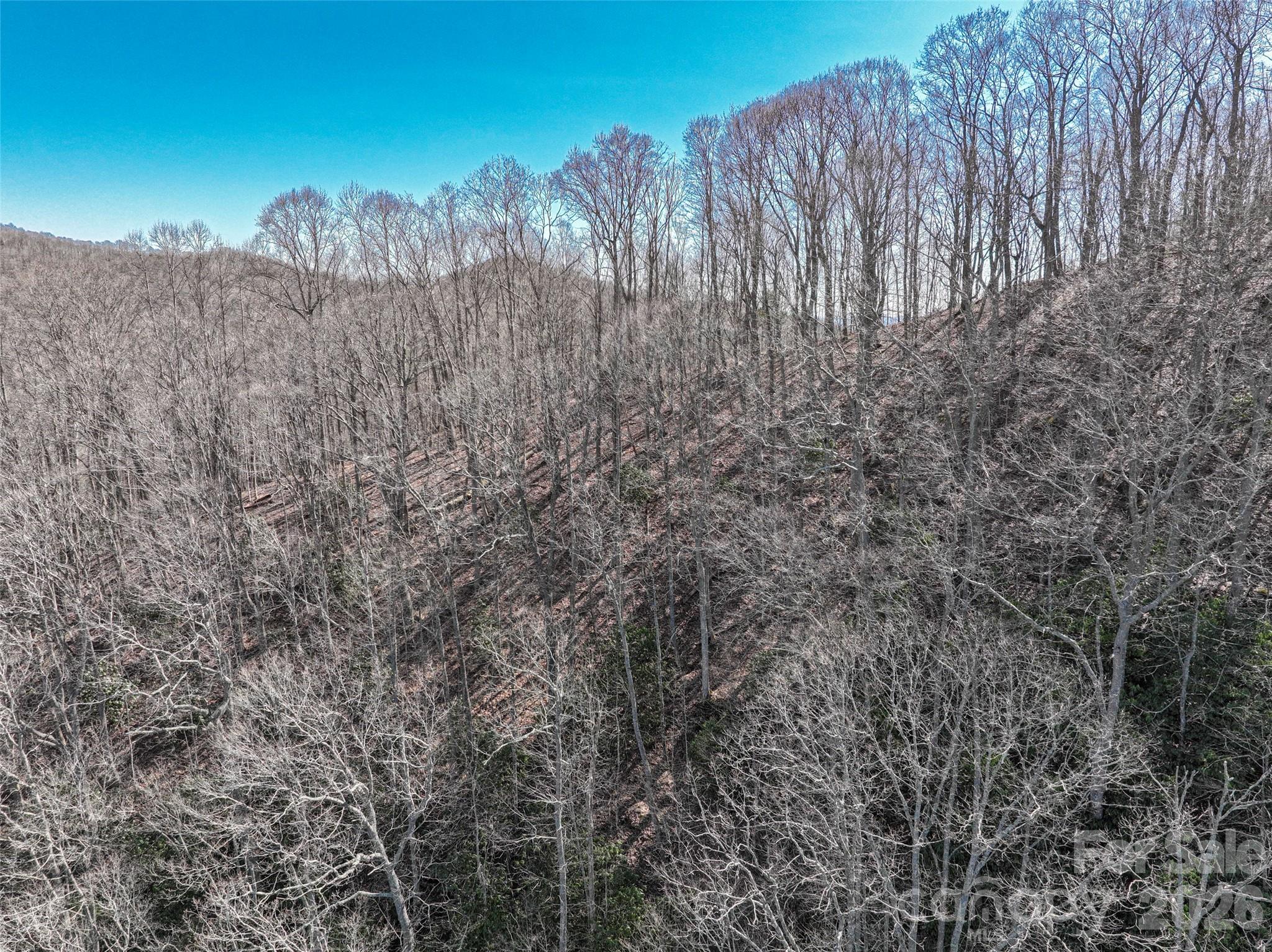 0000 Grapevine Road Marshall NC 28753