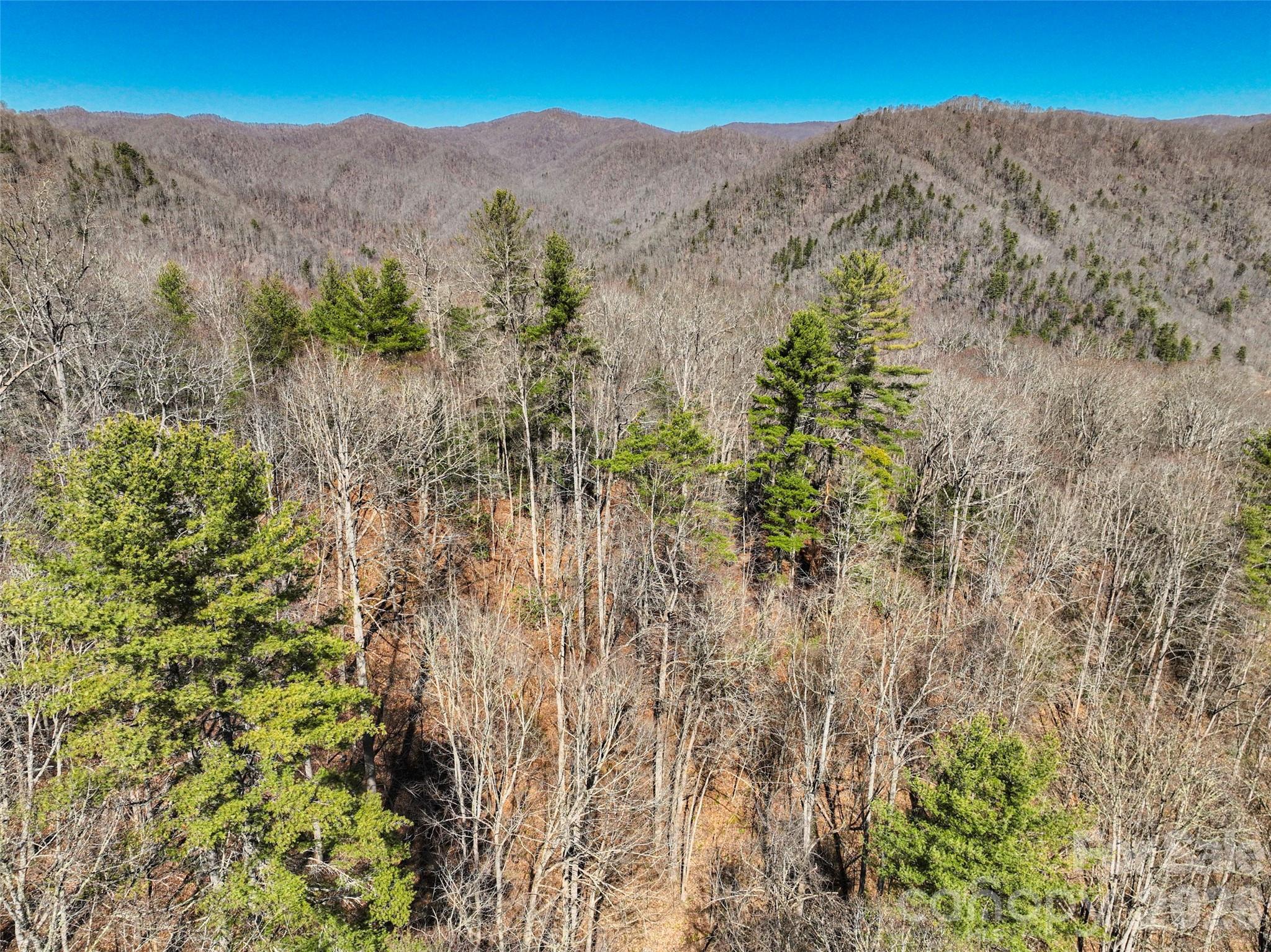 0000 Grapevine Road Marshall NC 28753