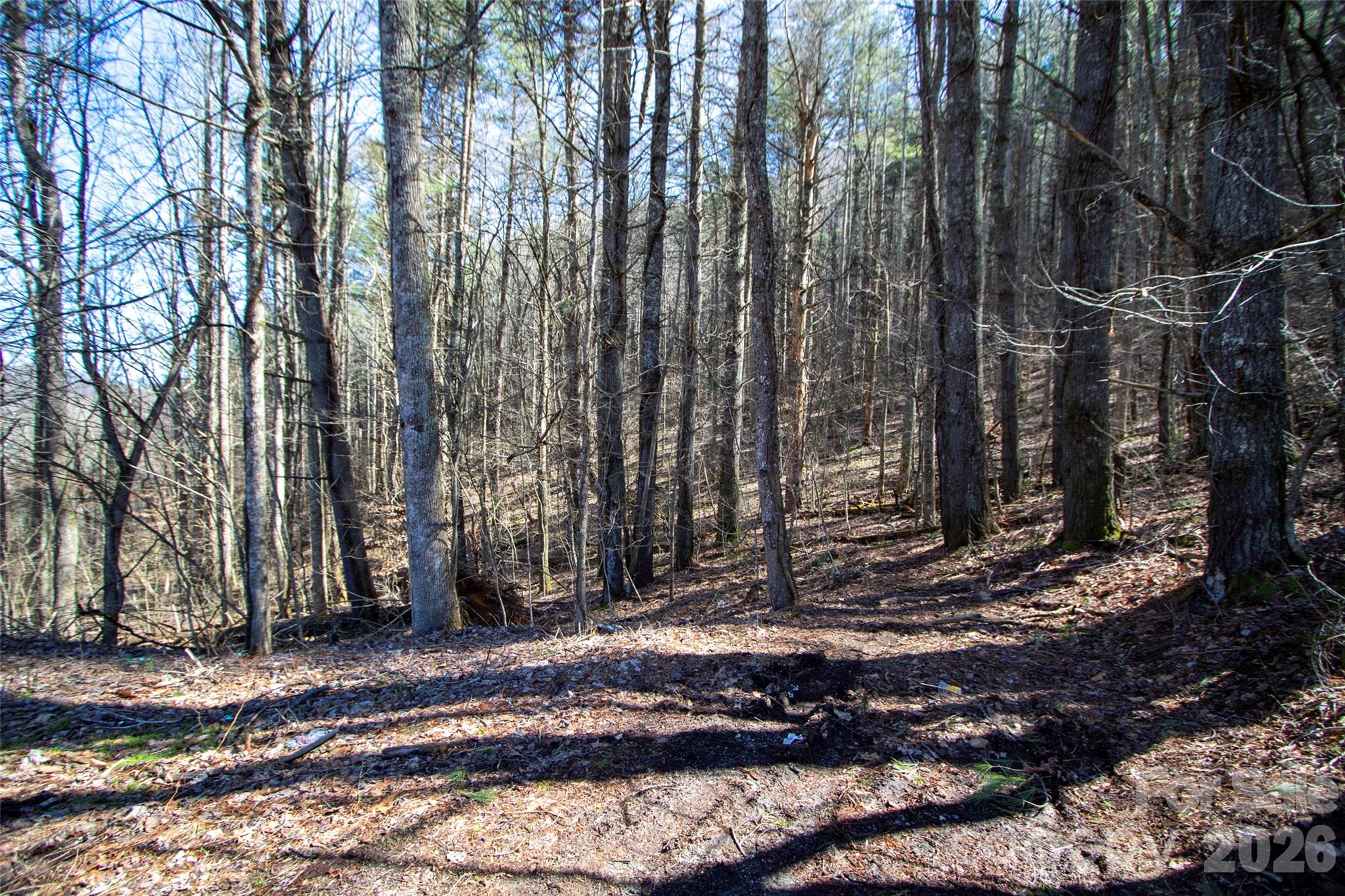 0000 Grapevine Road Marshall NC 28753