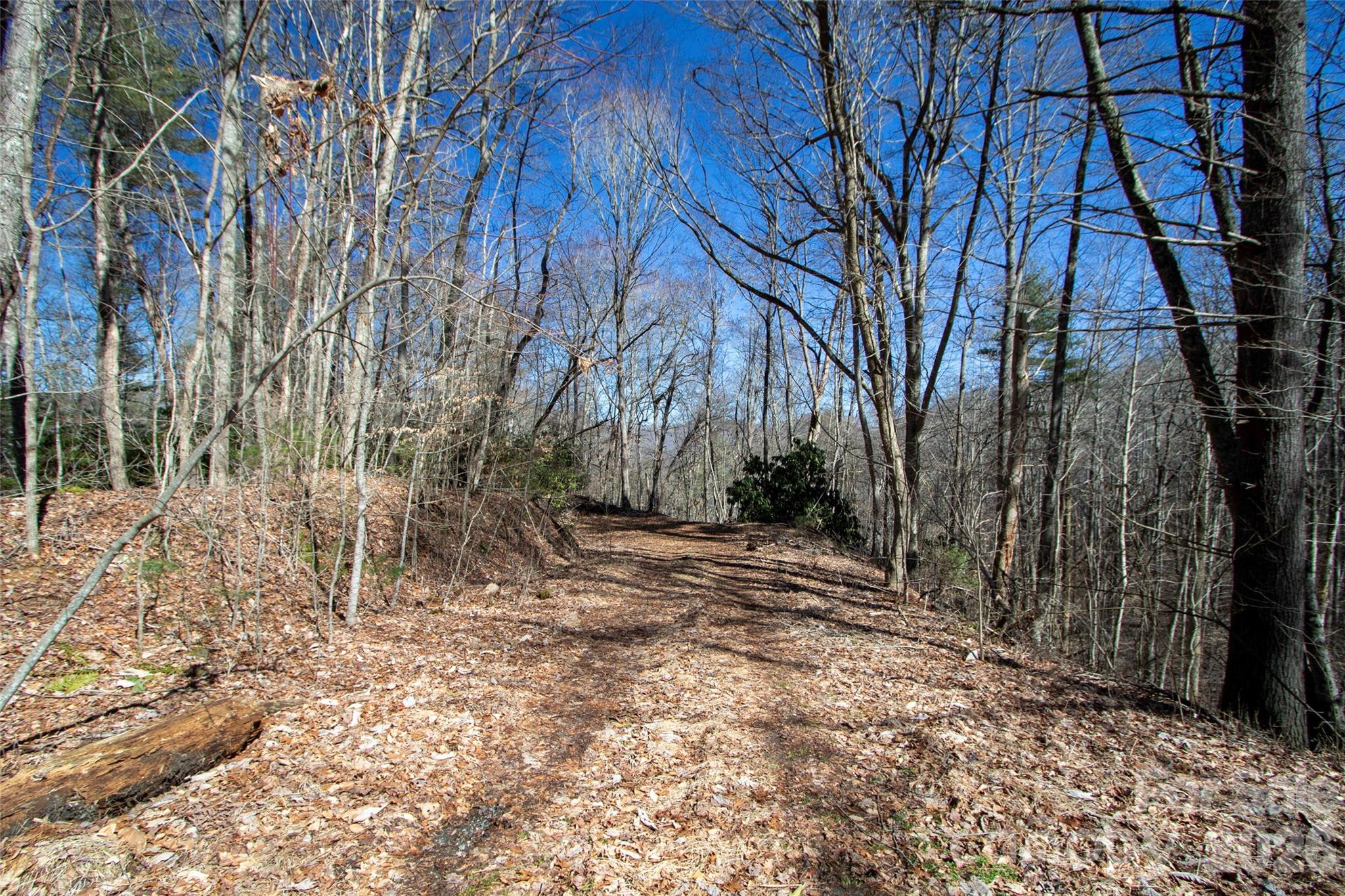 0000 Grapevine Road Marshall NC 28753
