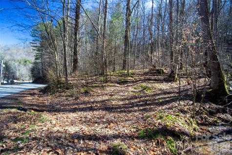 0000 Grapevine Road Marshall NC 28753