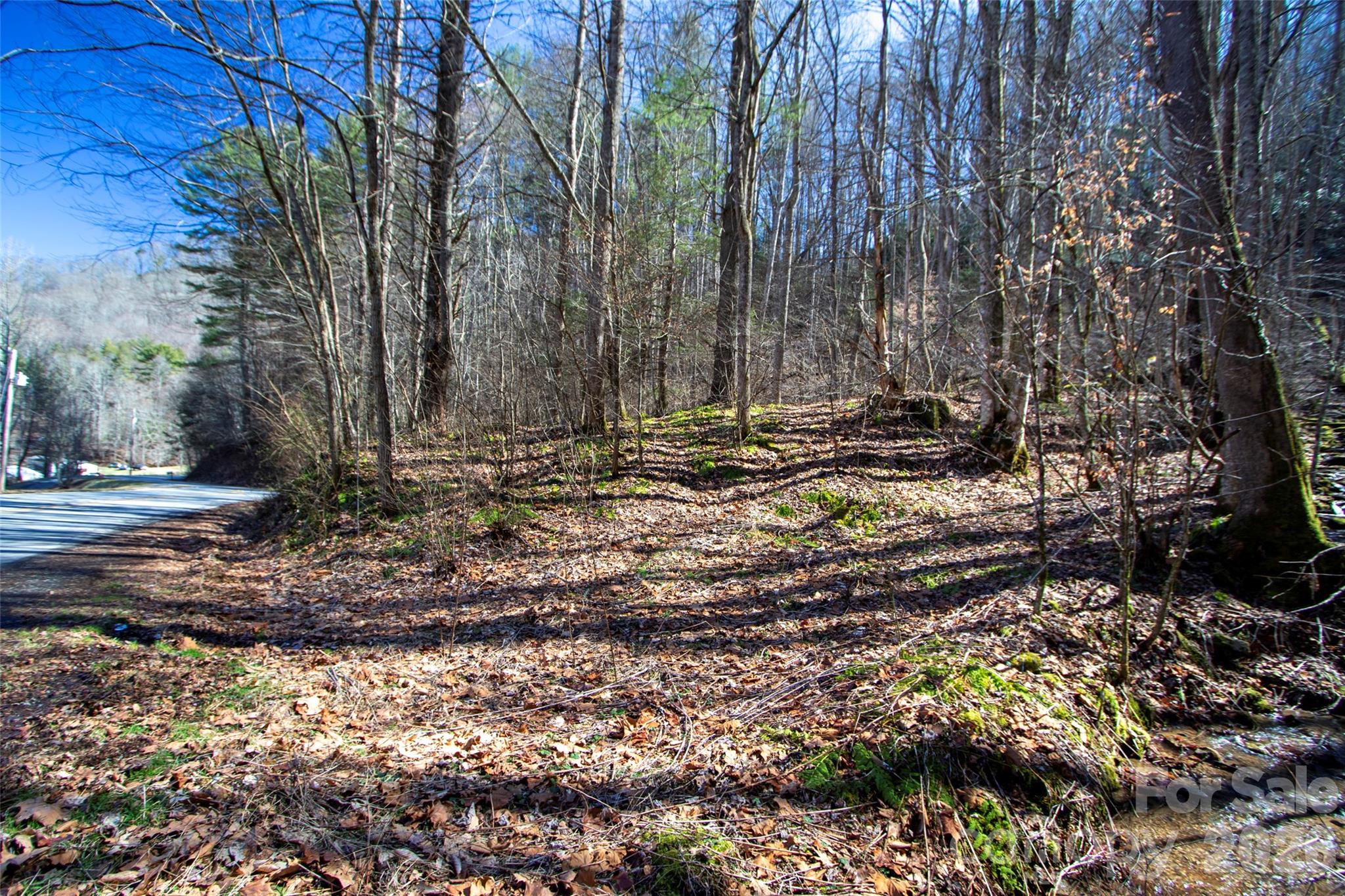 0000 Grapevine Road Marshall NC 28753