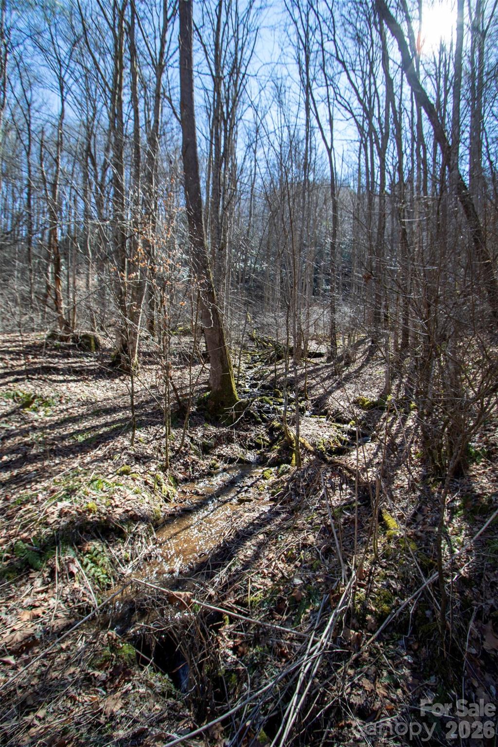 0000 Grapevine Road Marshall NC 28753