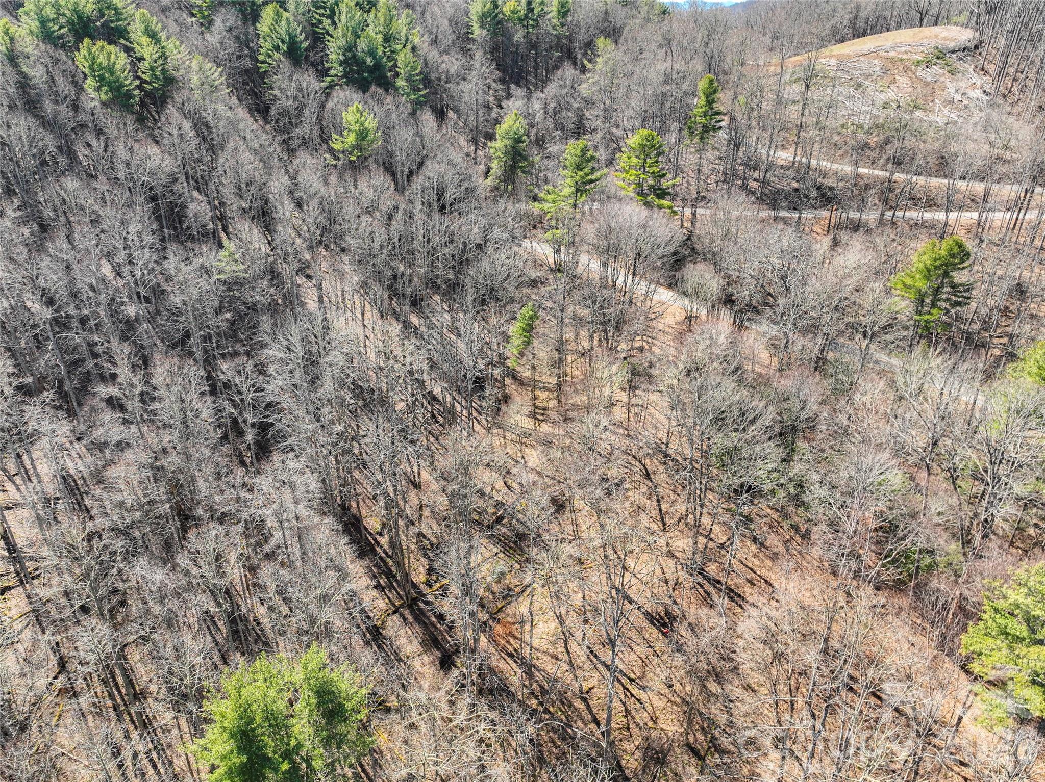 0000 Grapevine Road Marshall NC 28753