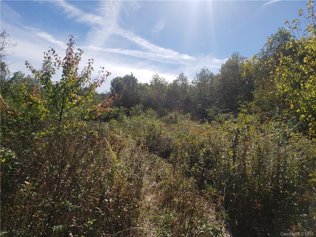 45 Spicewood Road Weaverville NC 28787