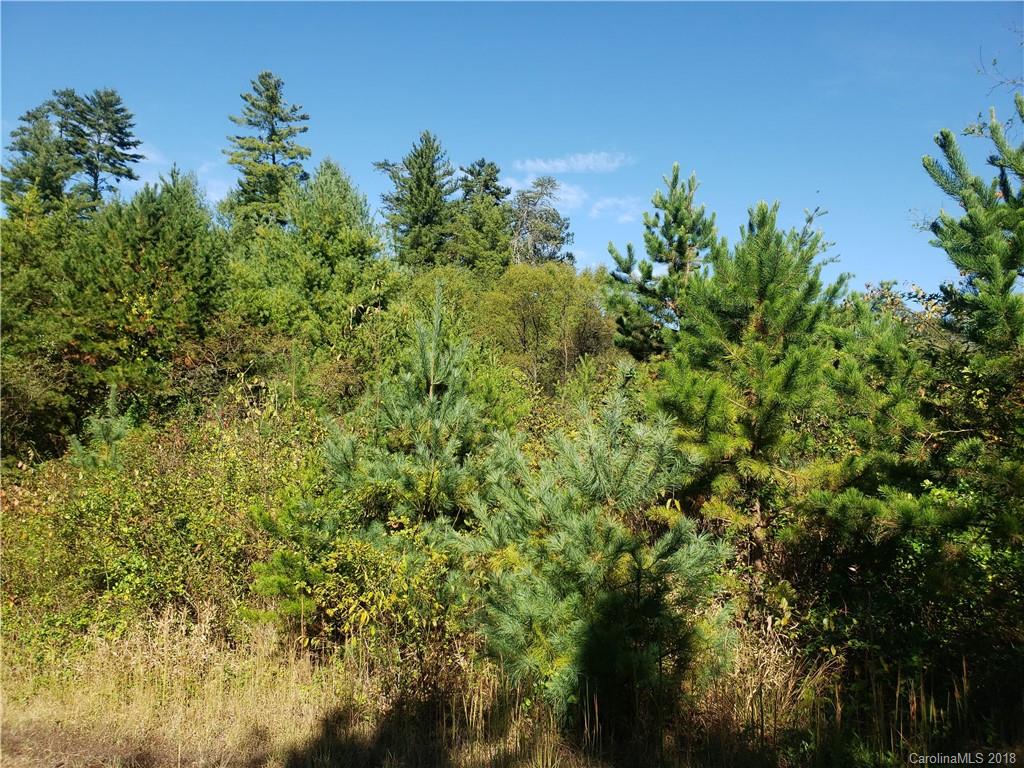 45 Spicewood Road Weaverville NC 28787
