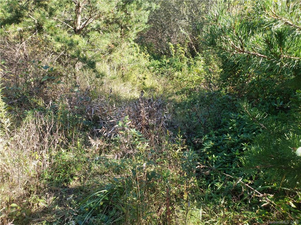 45 Spicewood Road Weaverville NC 28787