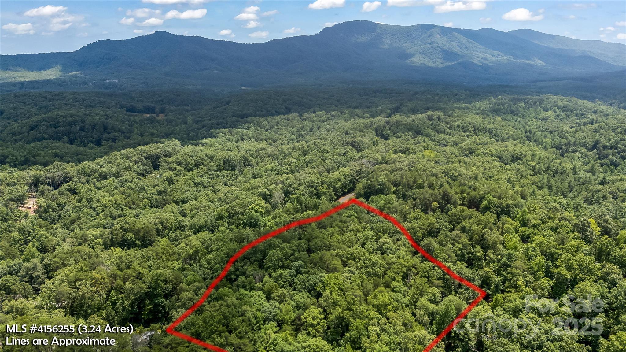 000 Lake Adger Parkway Mill Spring NC 28756