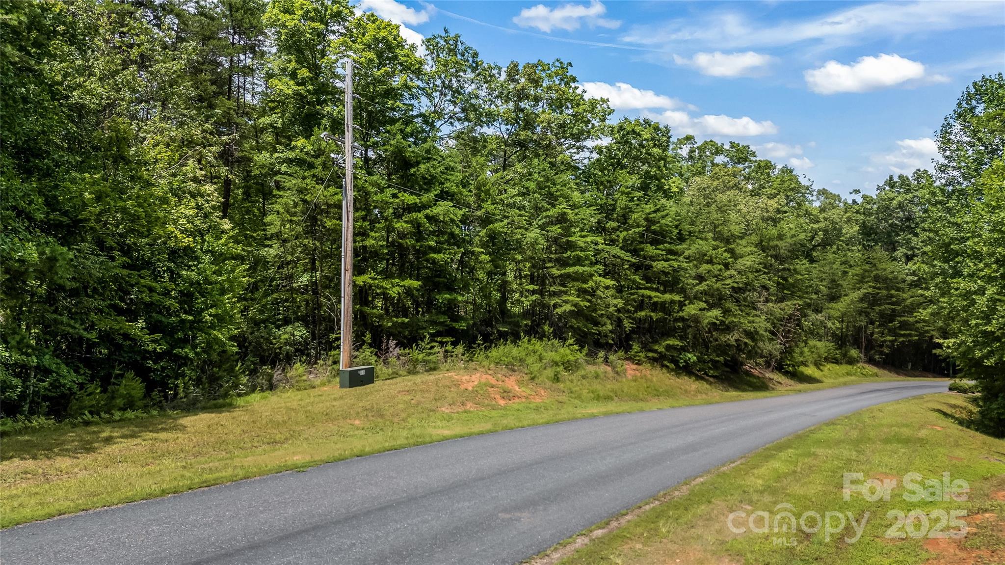 000 Lake Adger Parkway Mill Spring NC 28756