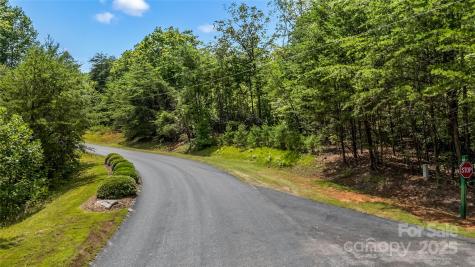 000 Lake Adger Parkway Mill Spring NC 28756