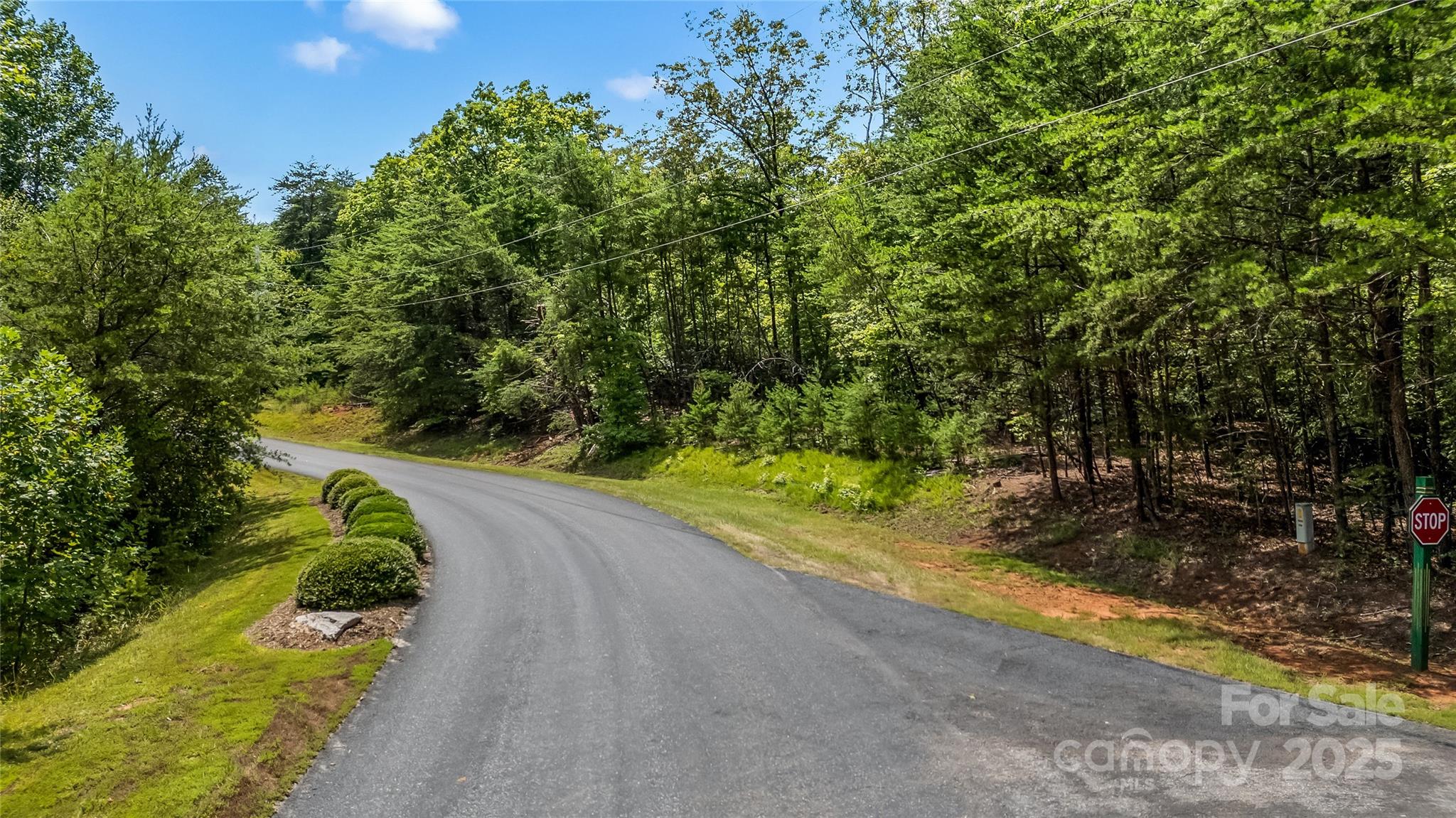 000 Lake Adger Parkway Mill Spring NC 28756