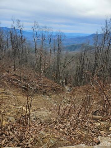 Tbd Osborne Knob Road Little Switzerland NC 28749