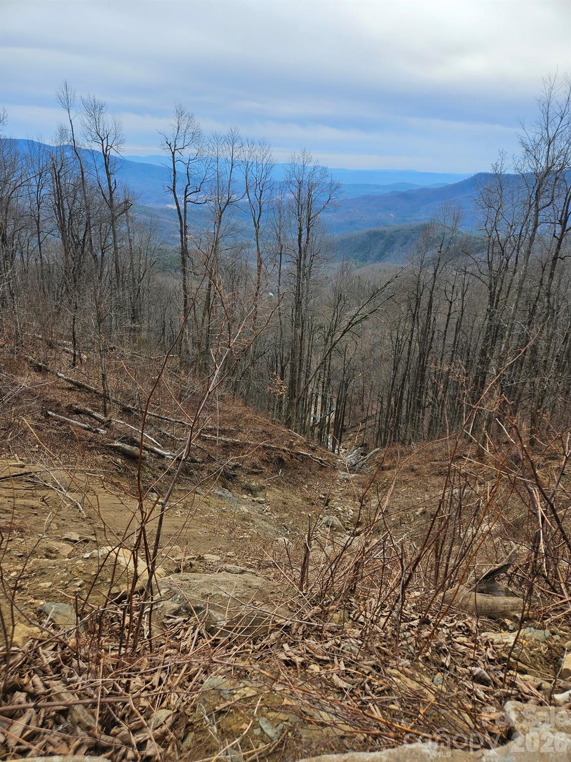 Tbd Osborne Knob Road Little Switzerland NC 28749
