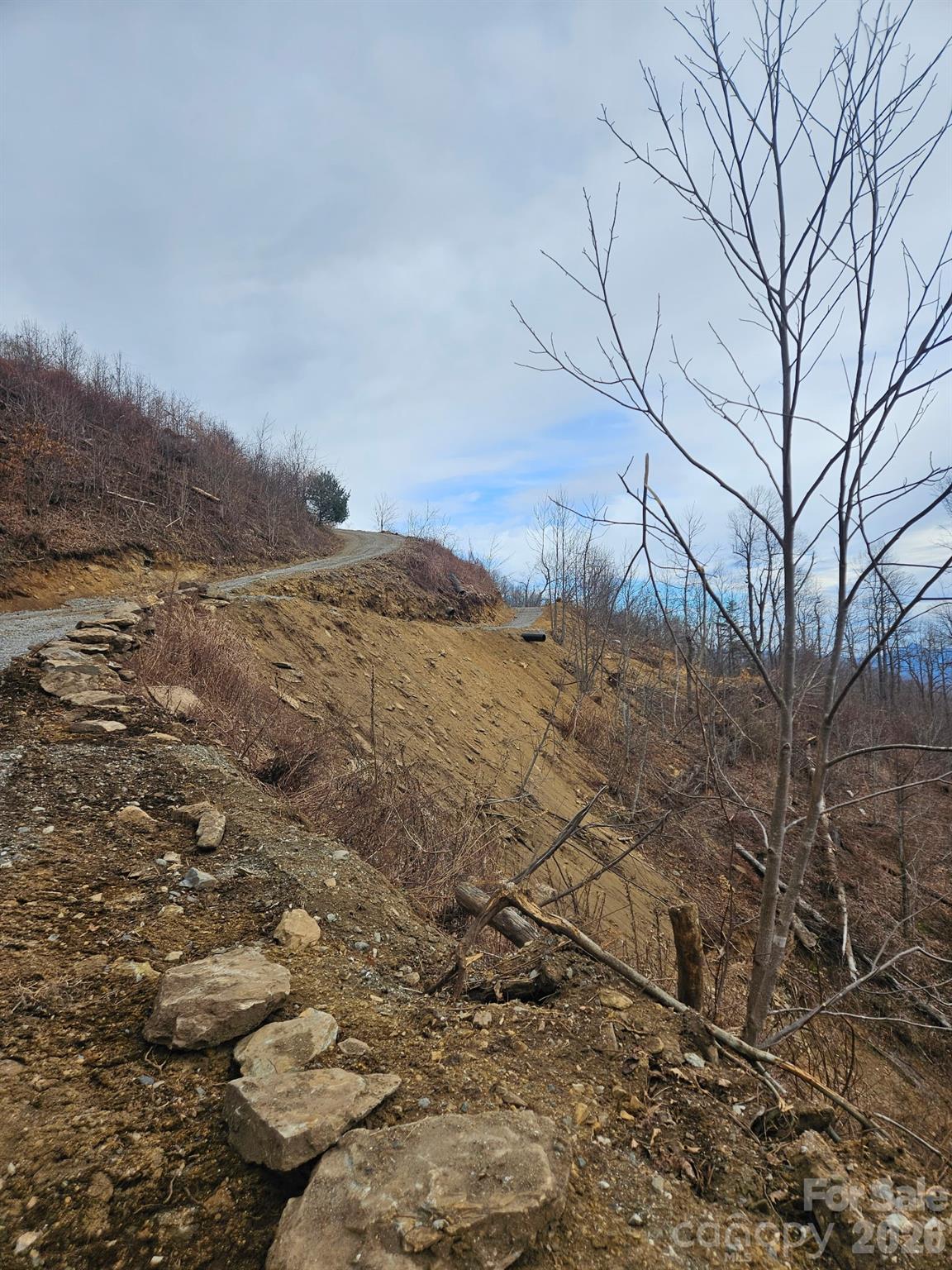 Tbd Osborne Knob Road Little Switzerland NC 28749