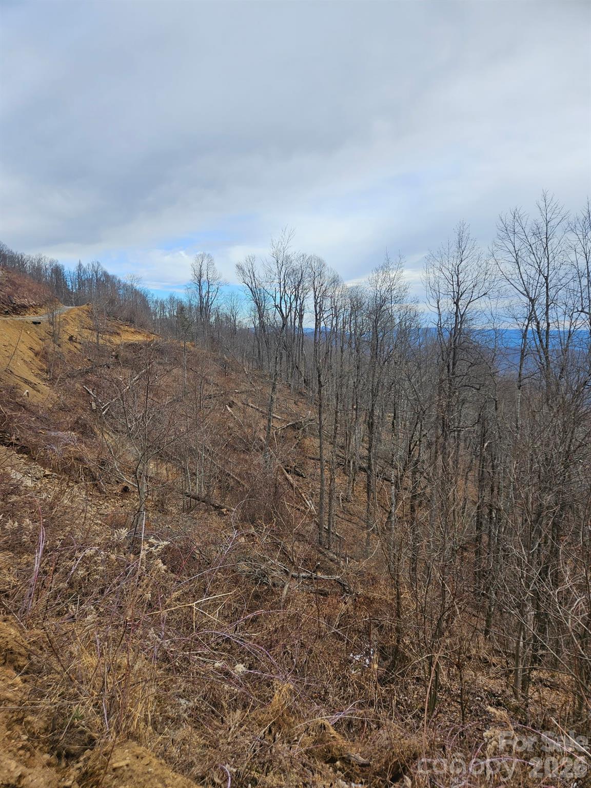 Tbd Osborne Knob Road Little Switzerland NC 28749