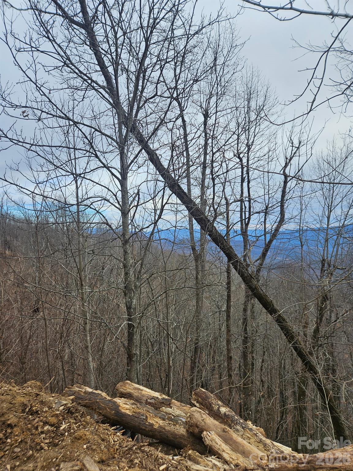 Tbd Osborne Knob Road Little Switzerland NC 28749