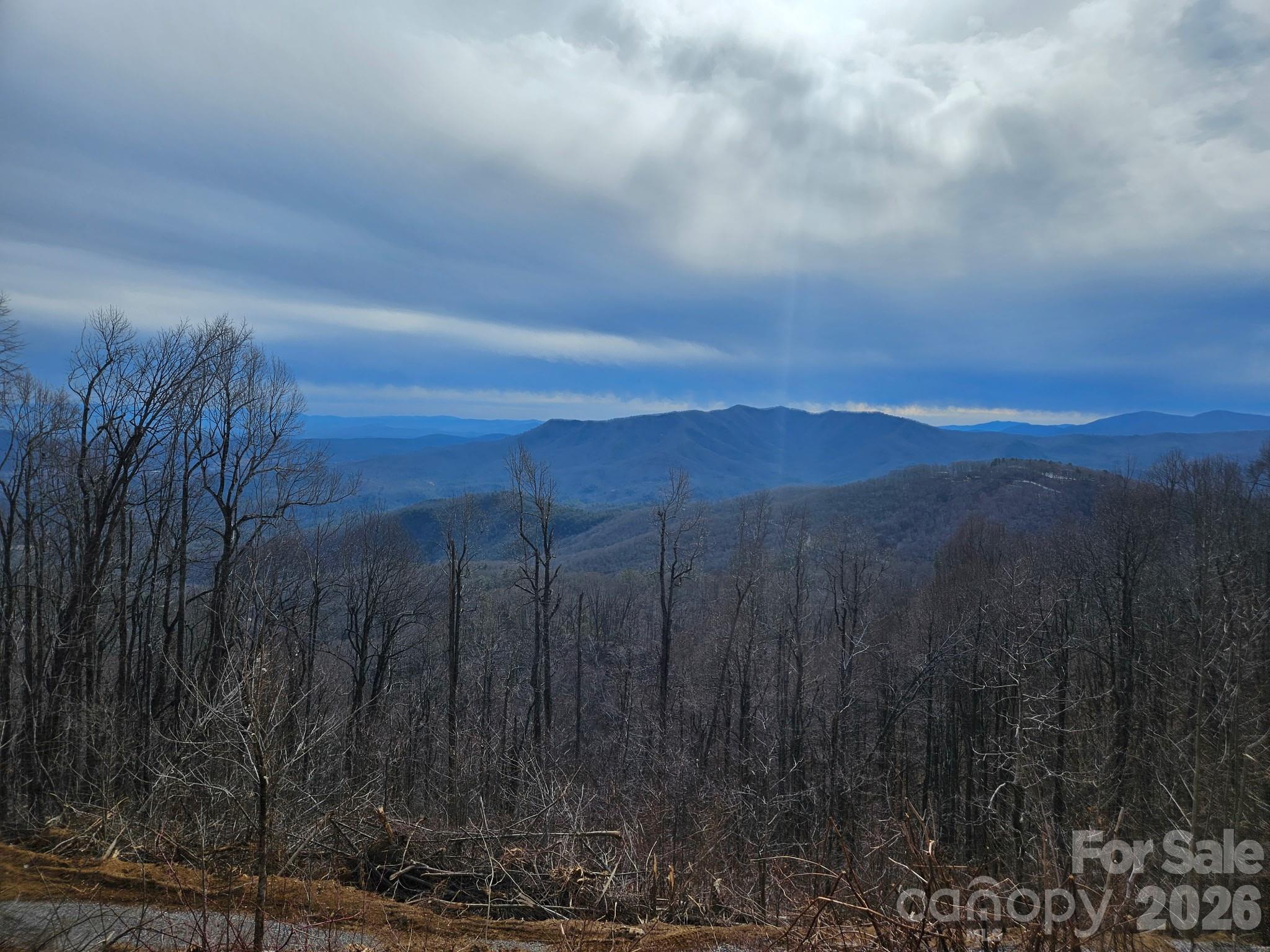 Tbd Osborne Knob Road Little Switzerland NC 28749