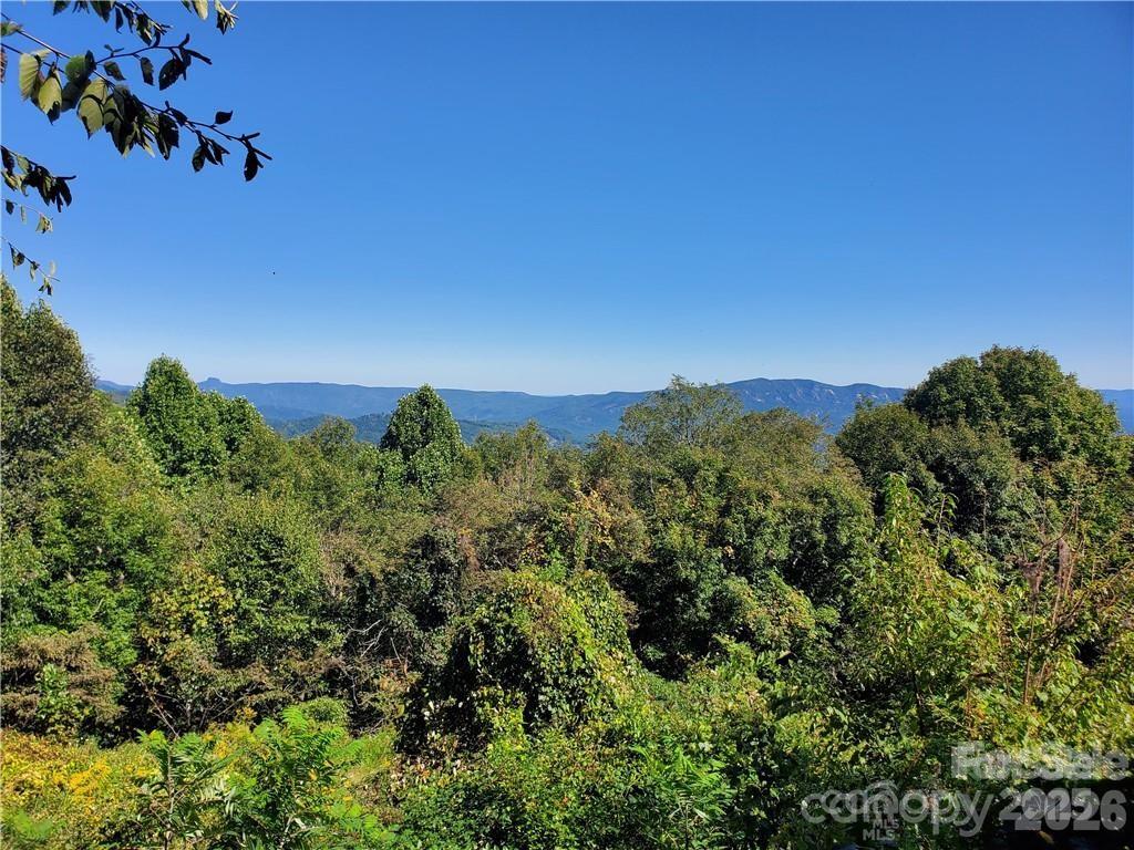 Tbd Osborne Knob Road Little Switzerland NC 28749