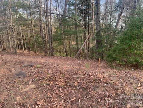 1.0AC Holbert Cove Road Saluda NC 28773