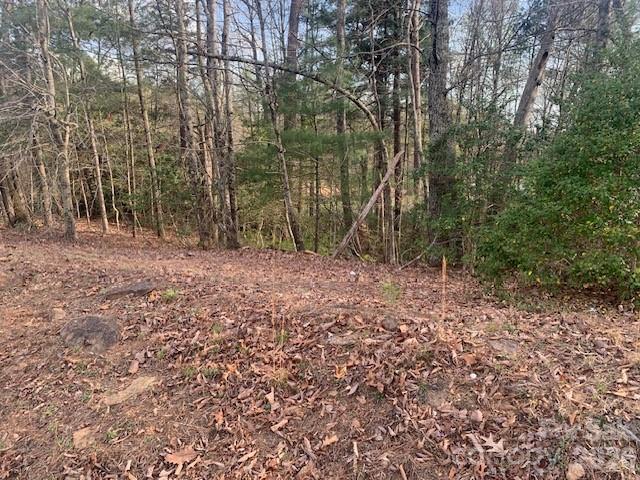 1.0AC Holbert Cove Road Saluda NC 28773