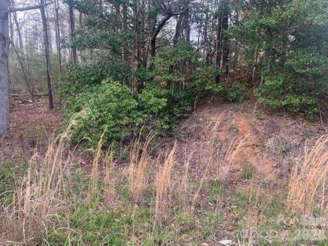 1.0AC Holbert Cove Road Saluda NC 28773