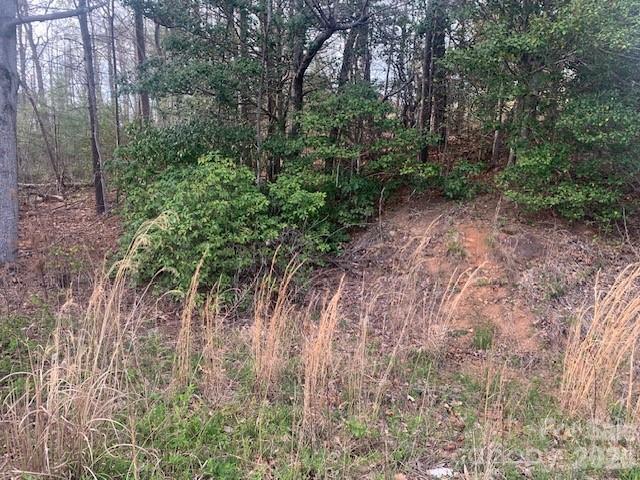 1.0AC Holbert Cove Road Saluda NC 28773