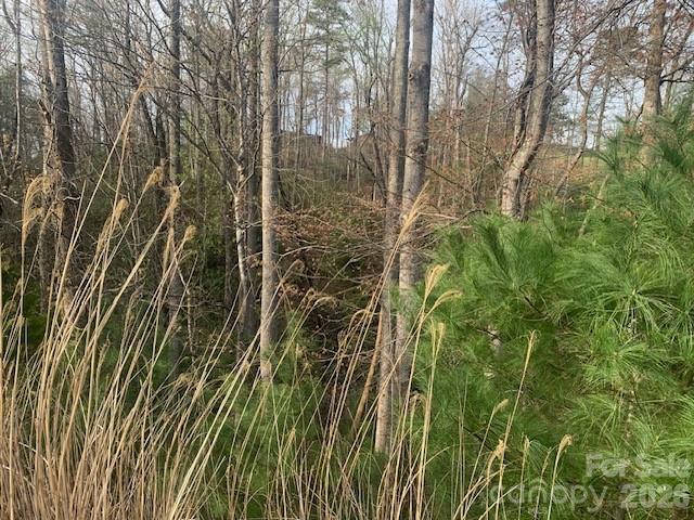 1.0AC Holbert Cove Road Saluda NC 28773