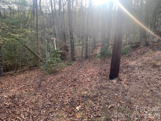 1.0AC Holbert Cove Road Saluda NC 28773