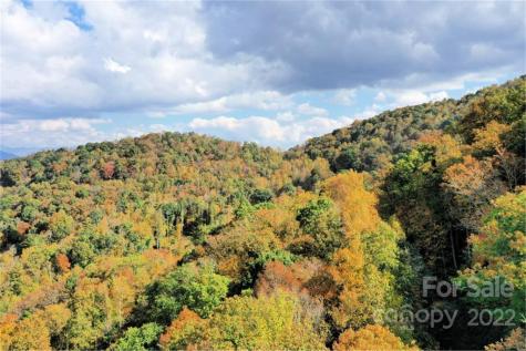 Vl63 Mountain Forest Estates Sylva NC 28779