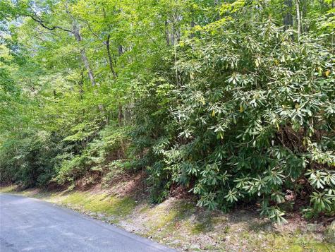 115 Black Oak Drive Sapphire NC 28774