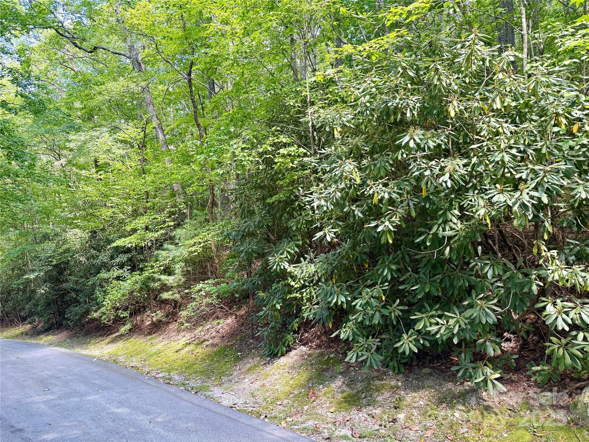 115 Black Oak Drive Sapphire NC 28774