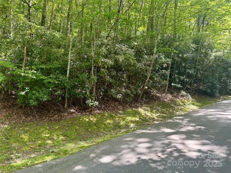 115 Black Oak Drive Sapphire NC 28774