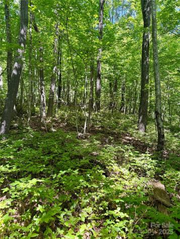 115 Black Oak Drive Sapphire NC 28774